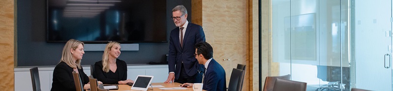 Group of professionals around board room table