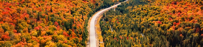 Search by image or video Highway near Colorful Trees in forest with lakes and blue cloudy stock photo