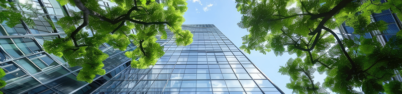 corporate building with trees surrounding it