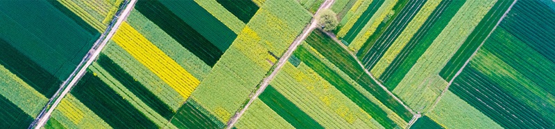 Environmental and Regulatory