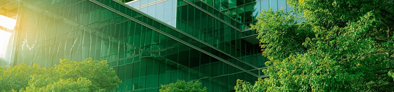 Social Impact and Business Sustainability Group