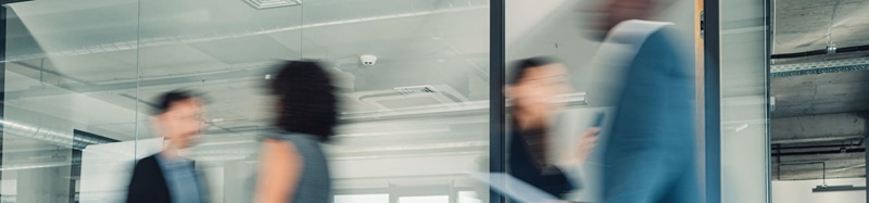 Labour, Employment & Human Rights