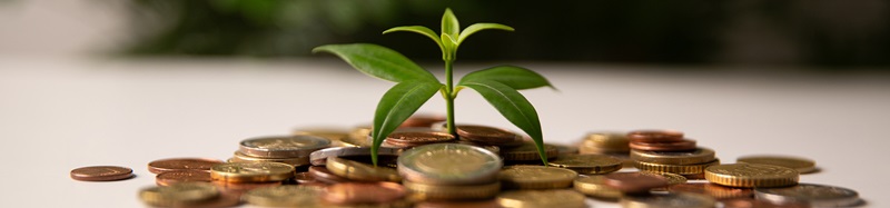 Goal of wealth growth is achieved through careful investment planning, banking strategies, and development of fund that utilizes currency to support financial growth and long-term success. insight stock photo