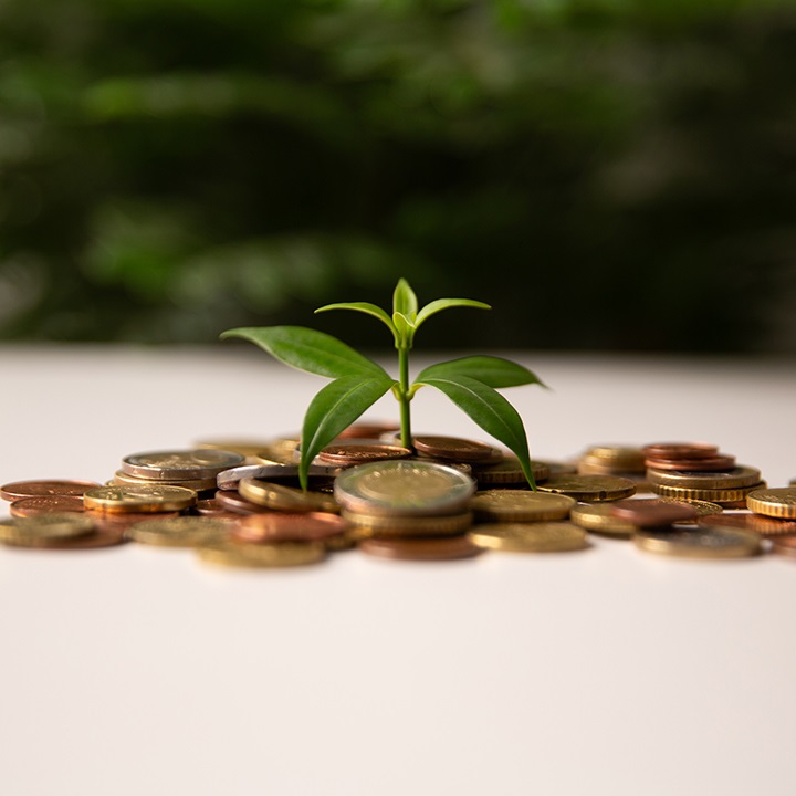Goal of wealth growth is achieved through careful investment planning, banking strategies, and development of fund that utilizes currency to support financial growth and long-term success. insight stock photo